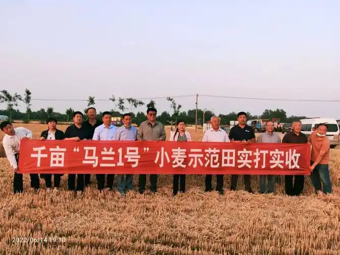 历史照片5